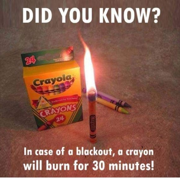 Meet your Posher, Andrea - Picture 1 of 1